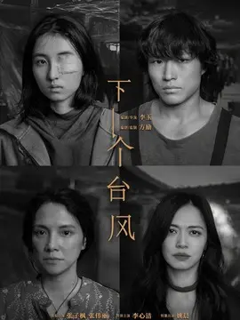 下一个台风简介