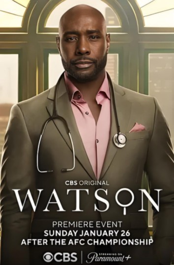 华生后记,Watson Season 2