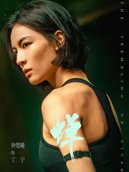 丁宁剧照